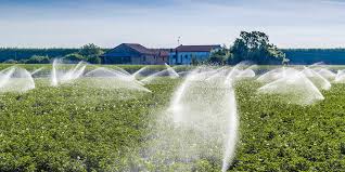 Cost of Irrigation Setup in Nigeria